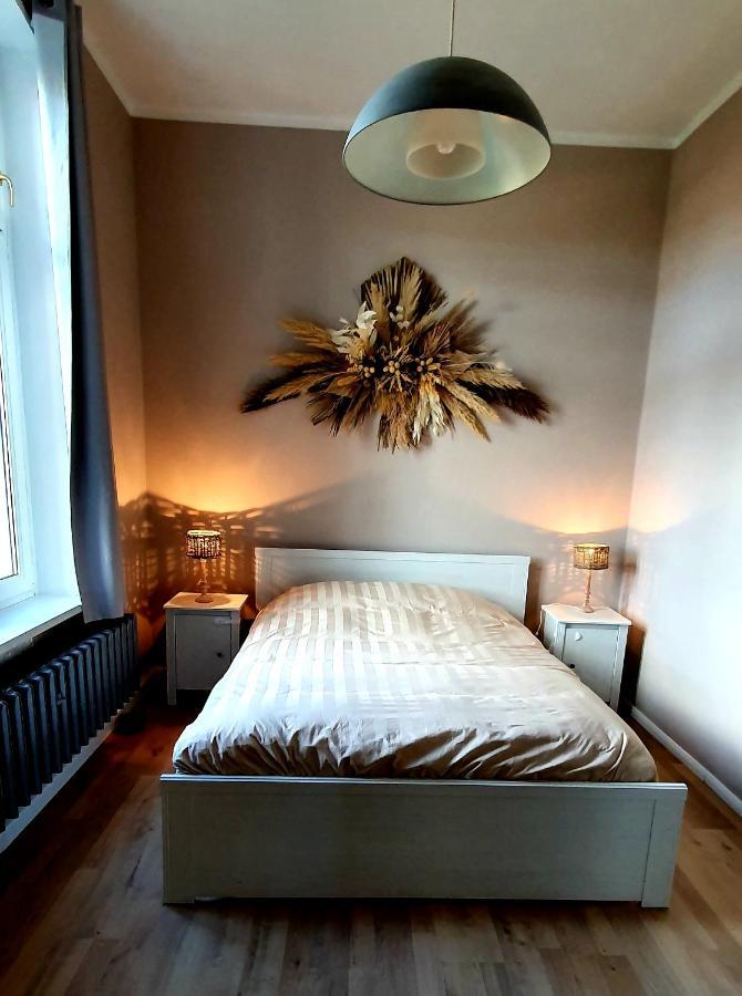 Appartement Vogtlandperle à Oelsnitz  Extérieur photo