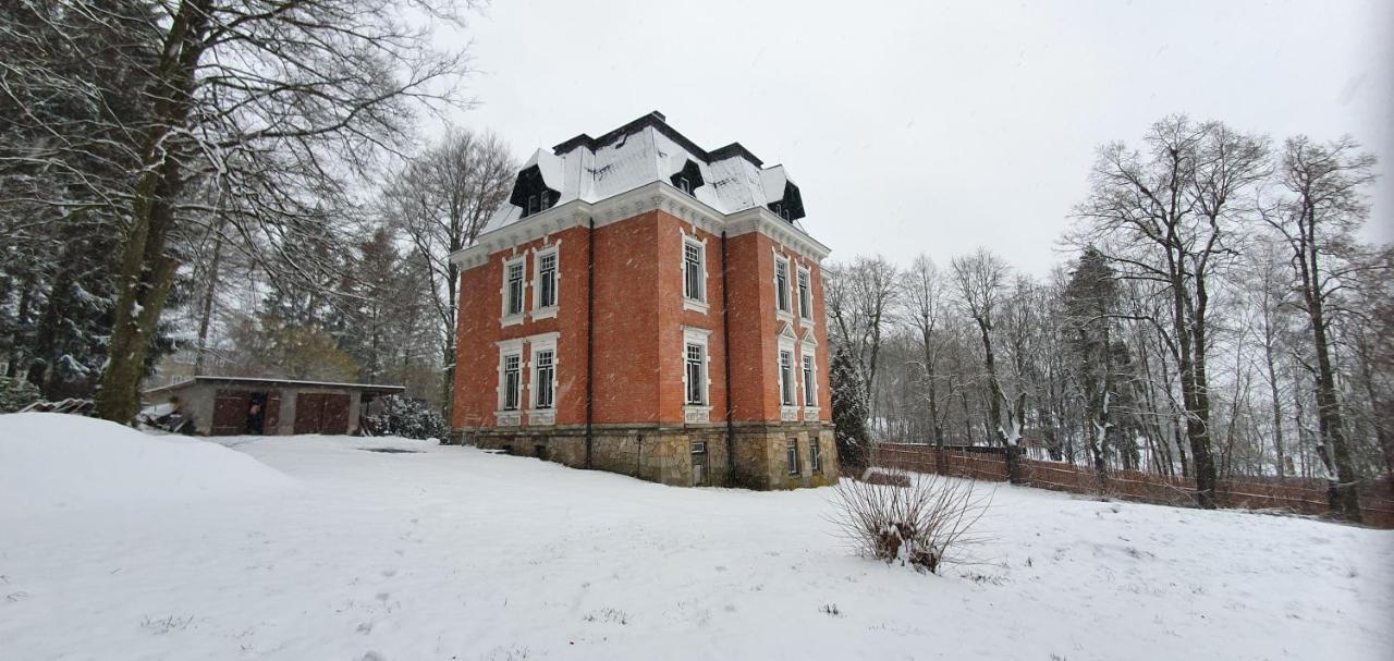 Appartement Vogtlandperle à Oelsnitz  Extérieur photo